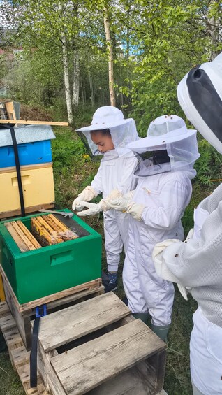 Beekeepers in protective suits handling a beehive. 4
