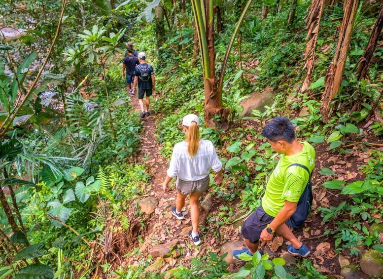 A group hiking through a dense forest with lush greenery and rocky terrain. 5