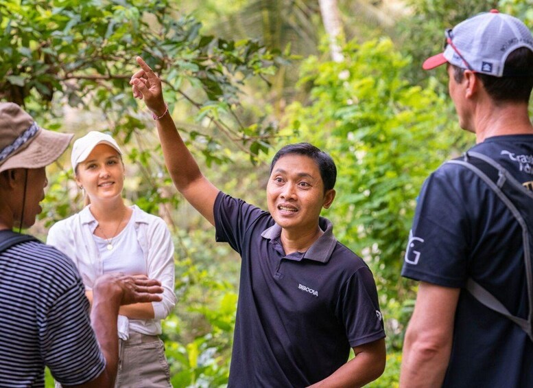 A group of people outdoors, one person pointing upwards, surrounded by greenery. 4