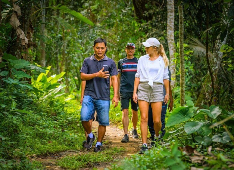 A group of people walking on a forest trail surrounded by dense greenery. 1