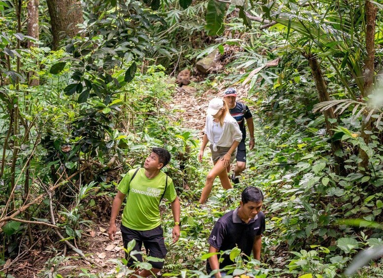 A group of people hiking through a dense forest with thick undergrowth and trees. 3