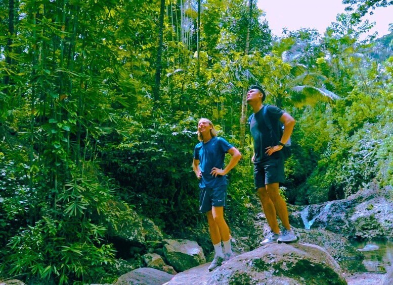 Two people standing on rocks in a lush green forest. 2