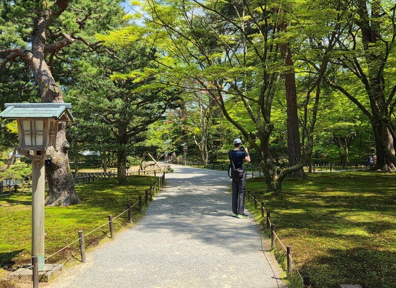 A pathway lined with trees and a lantern post. 5