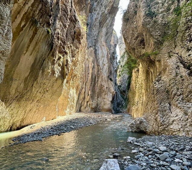 A narrow canyon with a stream running through it. 1