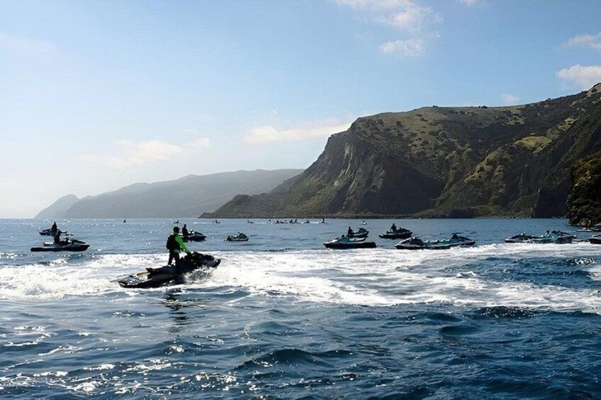 Guided Dolphin Jet Ski Adventure | Long Beach to Catalina Island 3