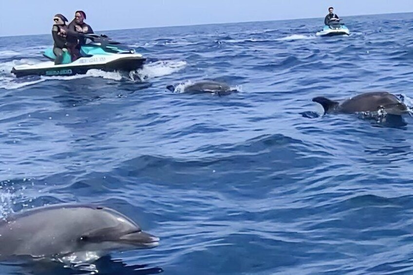 Guided Dolphin Jet Ski Adventure | Long Beach to Catalina Island 3