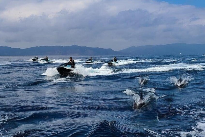 Guided Dolphin Jet Ski Adventure | Long Beach to Catalina Island 1