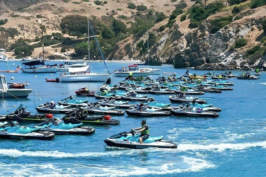 Guided Dolphin Jet Ski Adventure | Long Beach to Catalina Island 2
