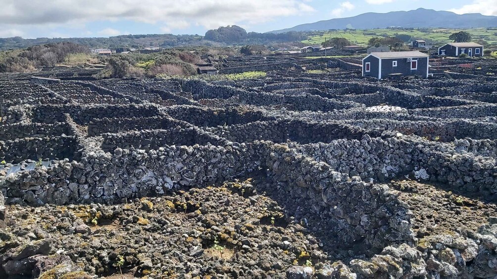 A volcanic landscape with terraced fields and a small building. 2