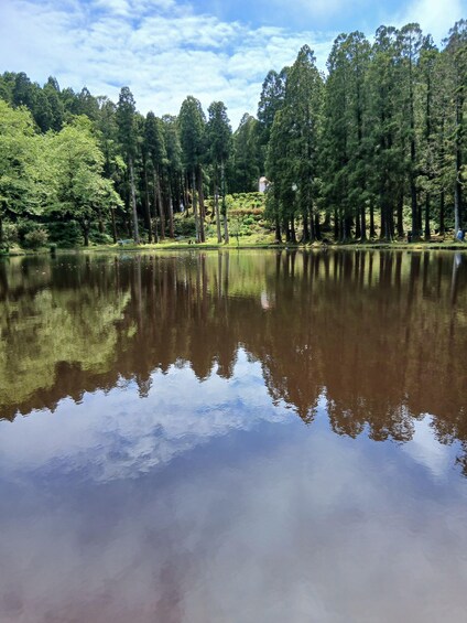 A calm lake surrounded by dense forest and a clear sky. 1