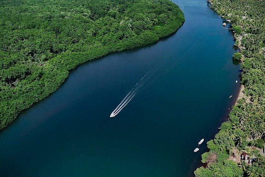 A river winding through a dense green forest with a boat creating a wake. 1