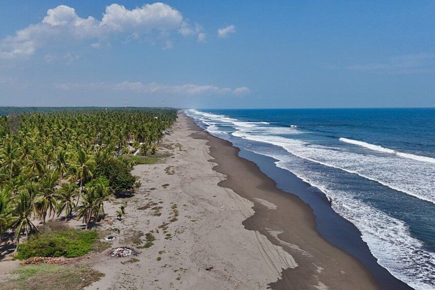 A beach with palm trees and ocean waves. 2