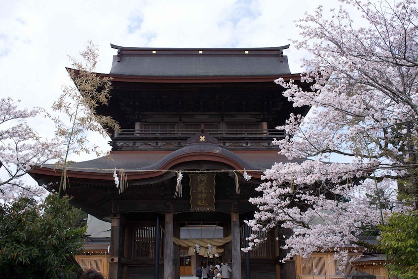 A traditional Japanese building with a curved roof and cherry blossoms in bloom. 5