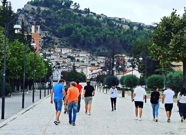 A pedestrian pathway with people walking, lined with trees and street lamps, leading to a hillside with buildings. 5