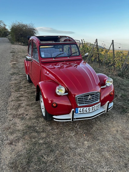 A vintage red Citroën 2CV car parked on a dirt path with a vineyard in the background. 2
