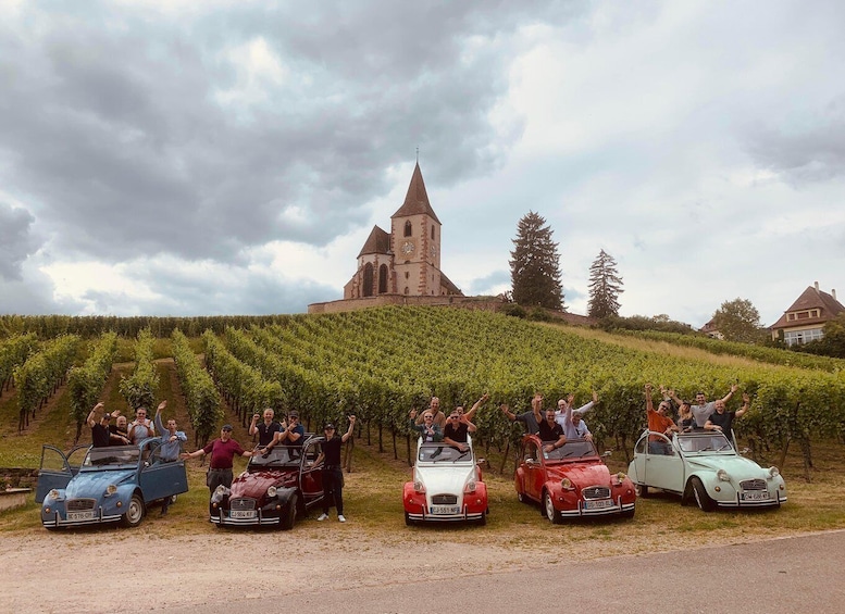 Vintage cars parked in a vineyard with a church in the background. 4