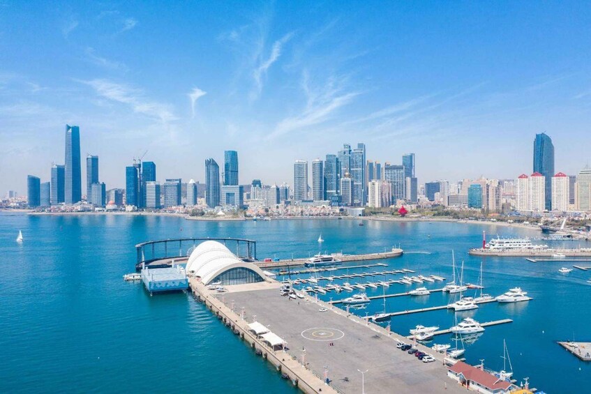 A marina with boats docked, a large white building, and a city skyline with skyscrapers. 1