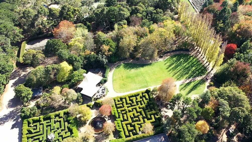 An aerial view of a park with a maze, a lawn, and various trees. 1