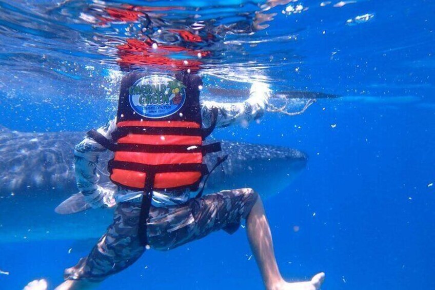 A person scuba diving with a red life jacket and a helmet labeled 'Hawaiian Green.' 4