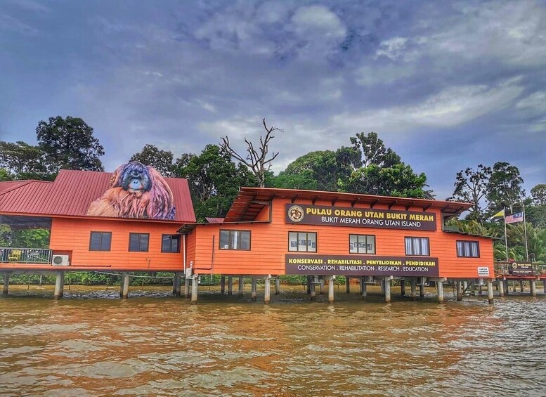 A building with a red roof and a large mural of a monkey, surrounded by water. 5