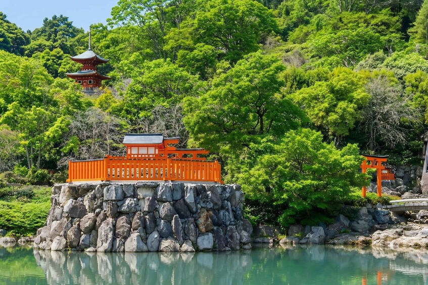 Picture 22 for Activity Osaka/Kyoto: Katsuoji & Arashiyama & Kinkakuji Day Tour 2