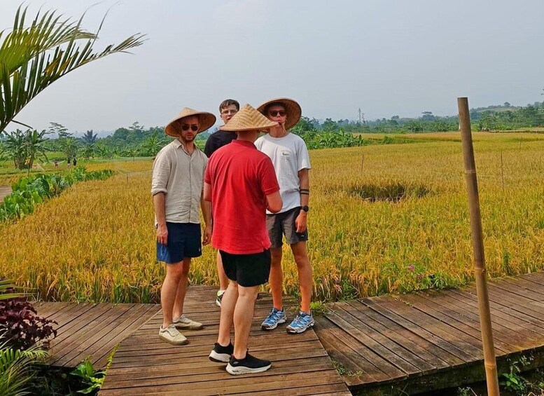 A group of people standing on a wooden platform in a rice field. 4