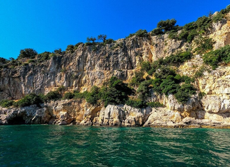 A rocky coastline with clear blue water and lush greenery. 5