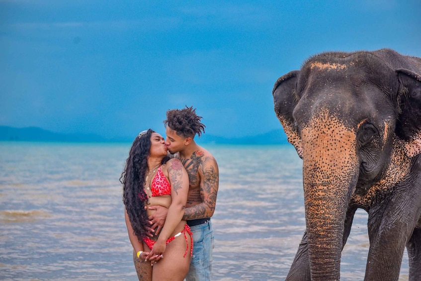 A couple embracing by the sea with an elephant nearby. 2