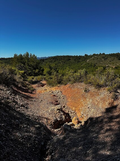 A rocky terrain with a dirt path leading uphill, surrounded by dense green forest and hills in the background. 2