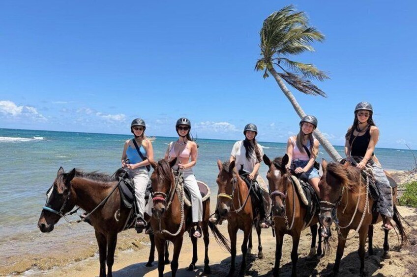 Four people riding horses on a beach with palm trees and ocean in the background. 5
