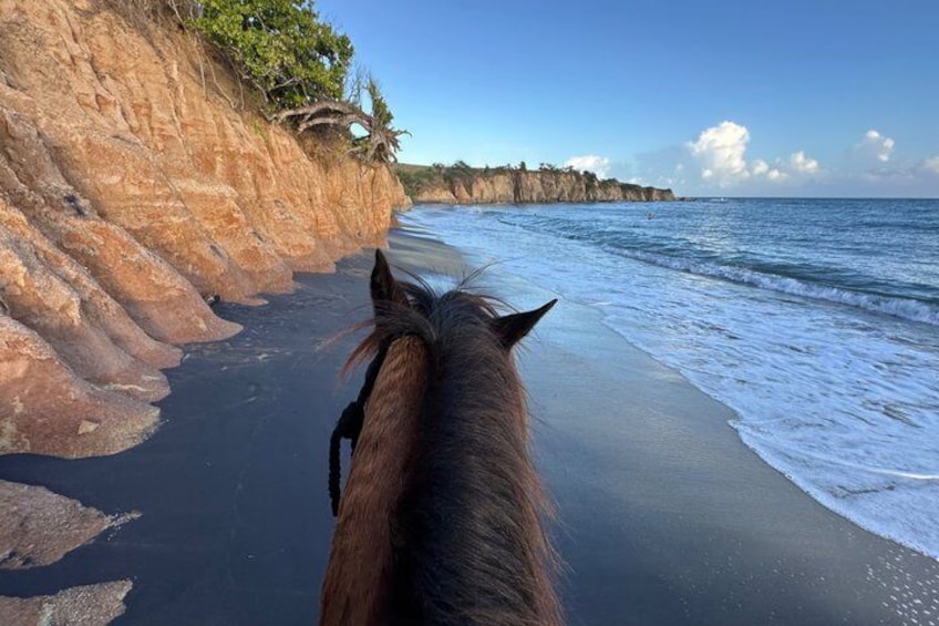 A horse's back along a coastal beach with cliffs and ocean waves. 2