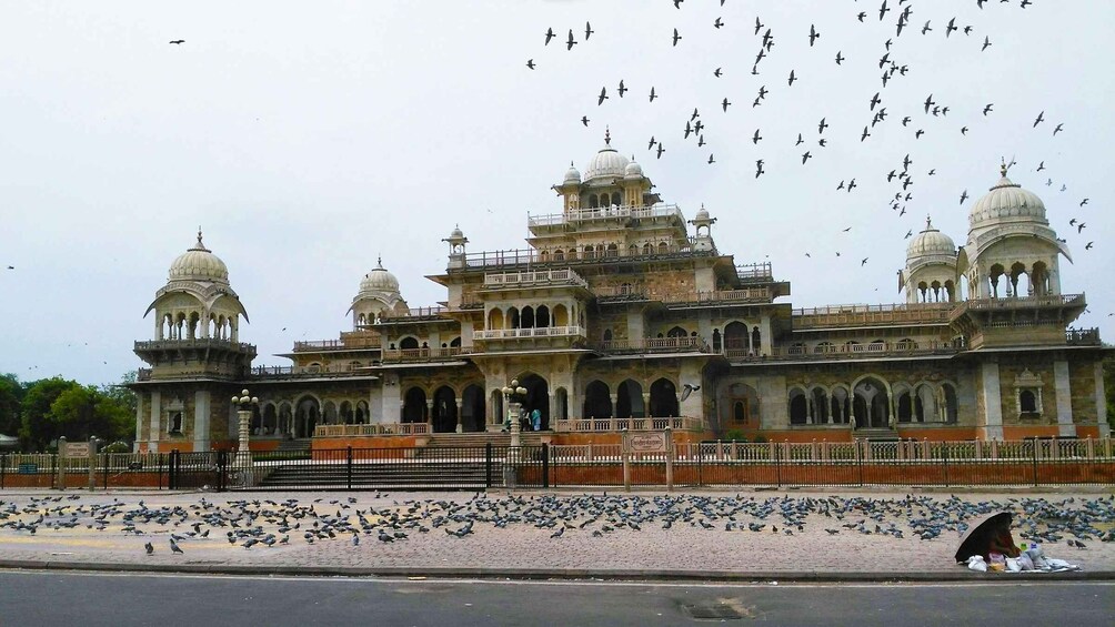 A historic building with multiple domes and arches, surrounded by a large number of pigeons. 2