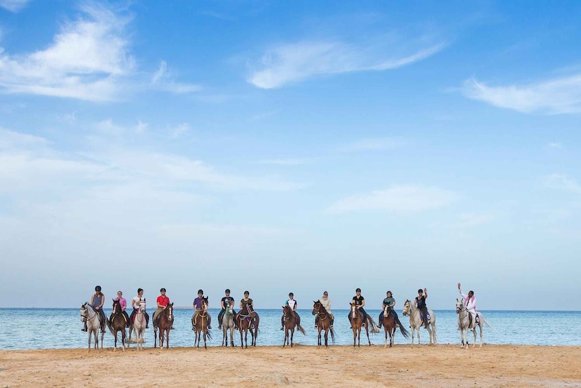 A group of people on horseback lined up on a beach with the sea in the background. 2