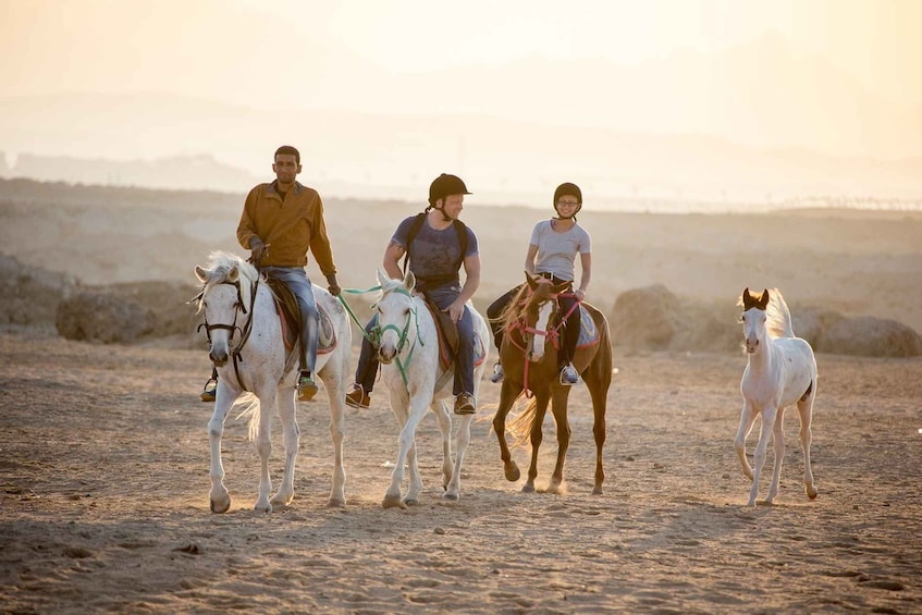 Three people riding horses on a sandy beach with a sunset in the background. 3