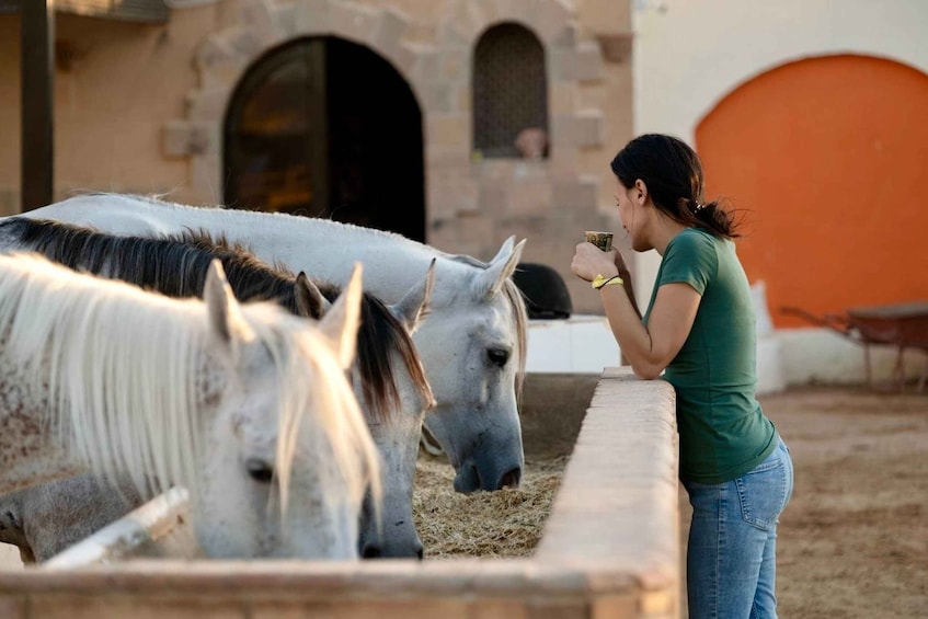 A person feeding horses in a stable with stone walls and an orange door. 5