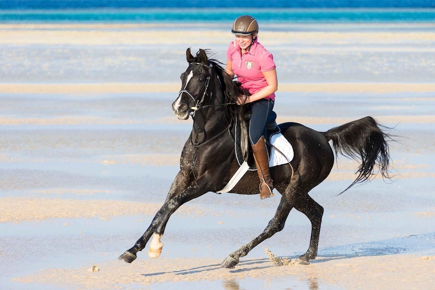 A person riding a black horse on a beach with sand and water in the background. 1