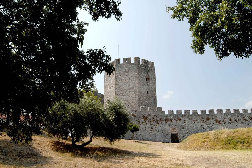 A medieval stone tower with battlements, surrounded by dry grass and trees. 4