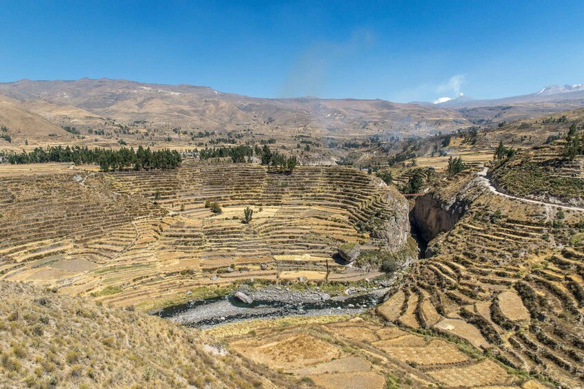 Terraced fields, a river, and distant mountains. 2