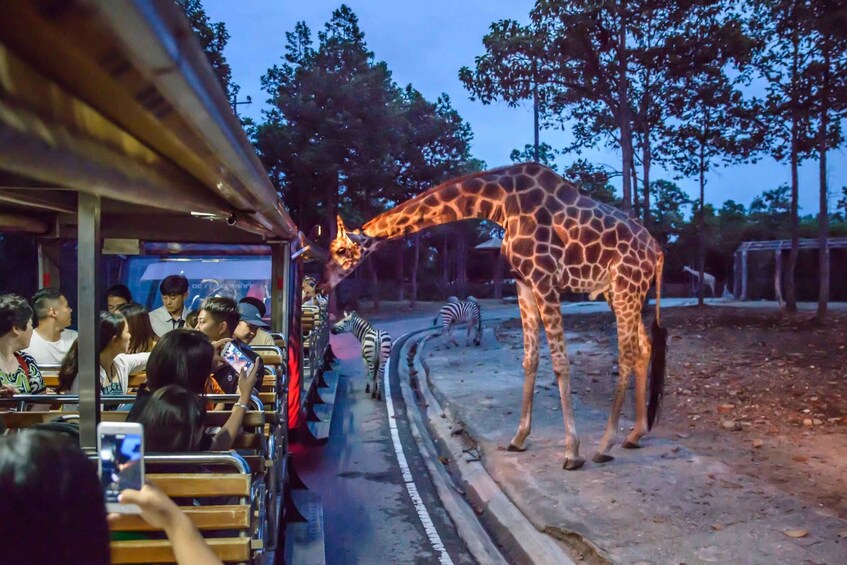 A giraffe bending down near a group of people seated in a vehicle. 5