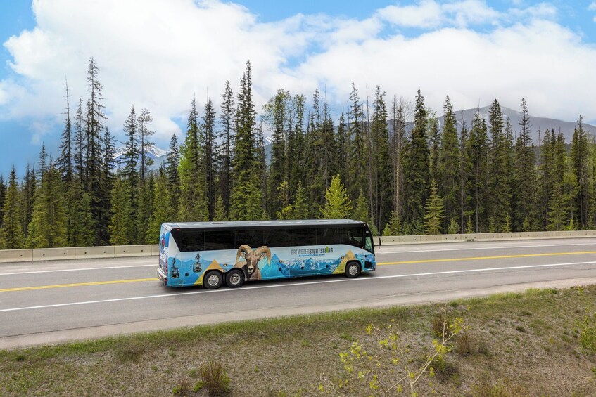 A bus on a highway with a mountain and forest in the background. 2