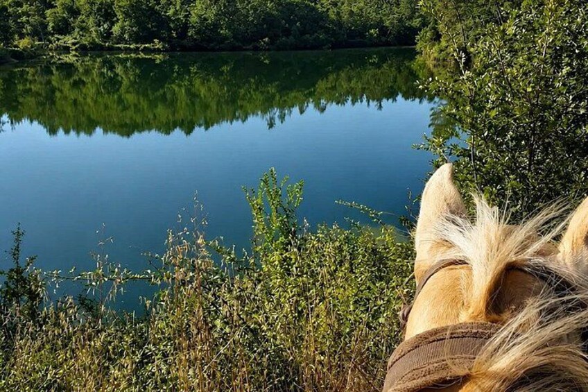 Horseback Ride with Aperitif in the Hills of Pisa 4