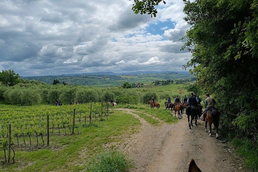 Horseback Ride with Aperitif in the Hills of Pisa 1