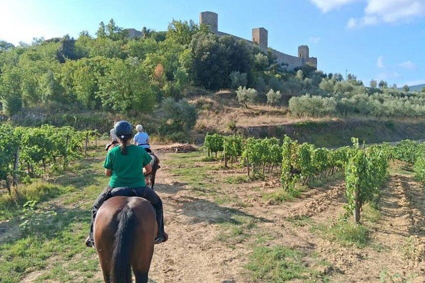 Horseback Ride with Aperitif in the Hills of Pisa 5