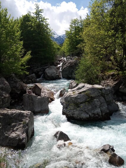 A river flowing through a rocky landscape with trees and mountains in the background. 3