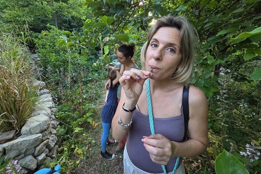 Edible Forest Medicinal Herb and Fruit Tasting 1