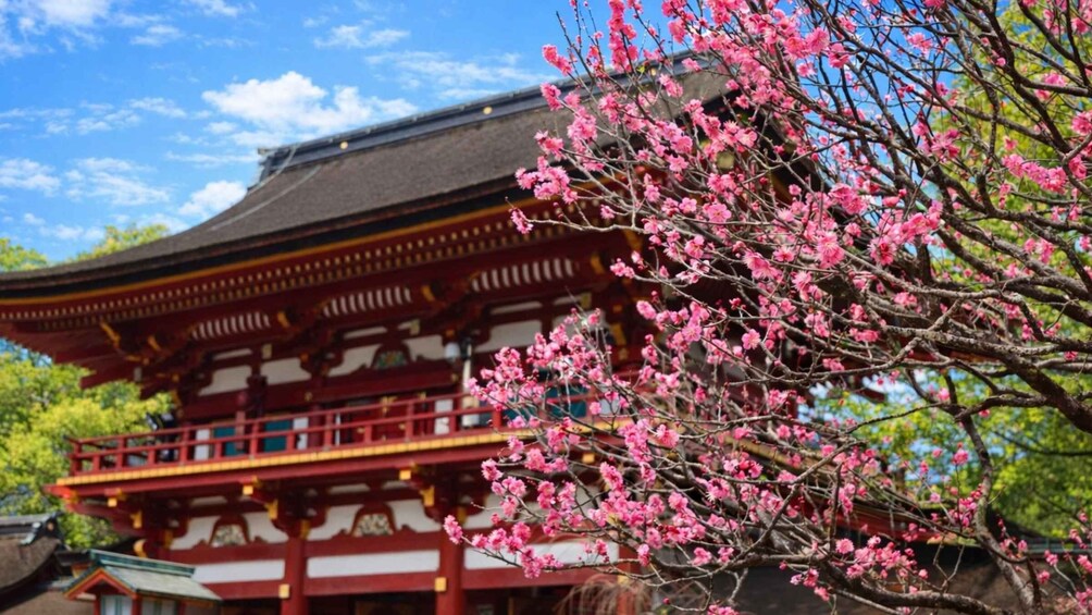 A traditional Japanese building with cherry blossoms in full bloom. 4