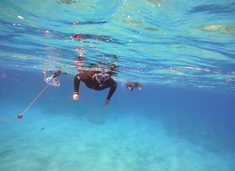 A diver underwater with a rope. 4