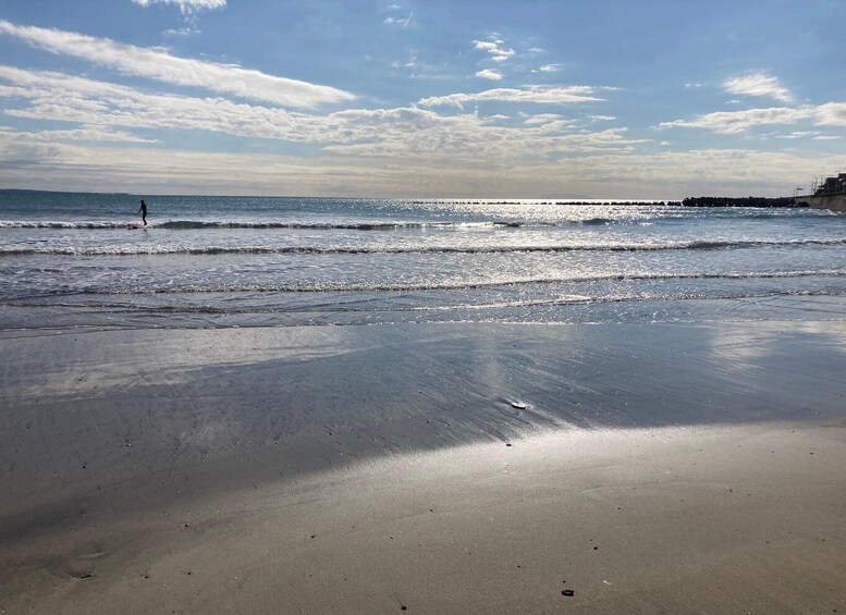 A beach with gentle waves, a clear sky, and a distant pier. 1