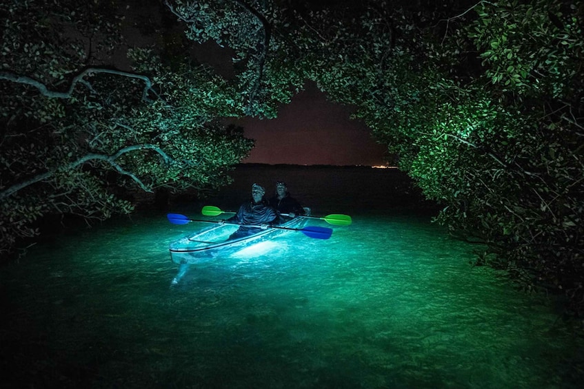 A person kayaking in a dark, green-lit waterway surrounded by dense foliage. 1
