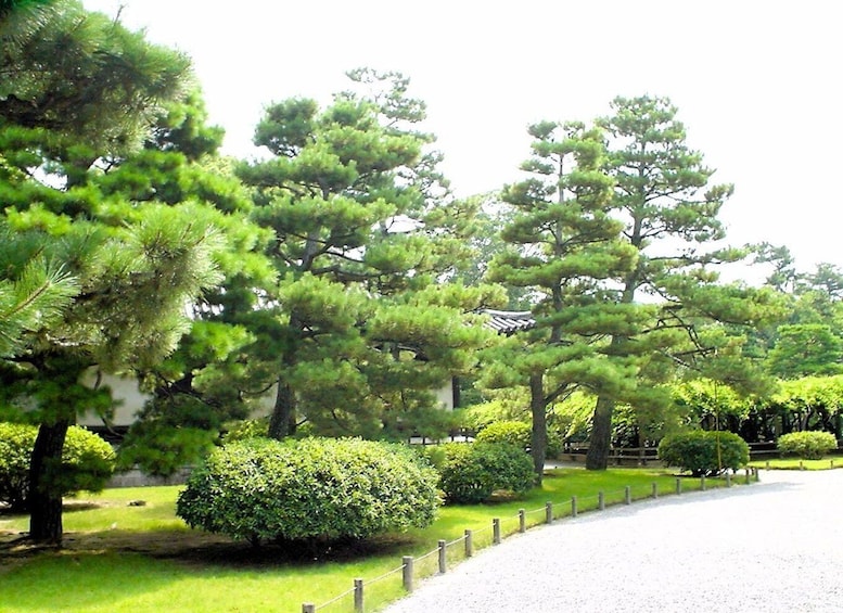 A serene garden with pine trees, a gravel path, and traditional Japanese architecture. 3